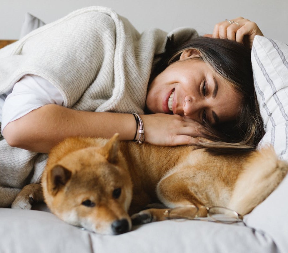 Workplace pet insurance benefits